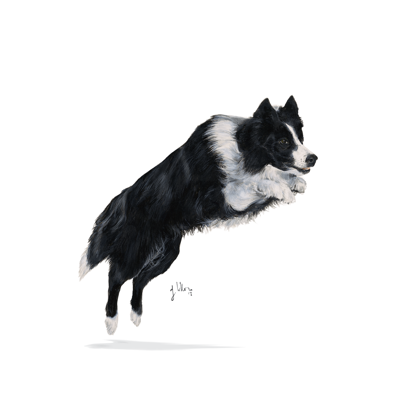 Royal Canin Sporting Life Energy 4100 Adult Torrfoder för hund
