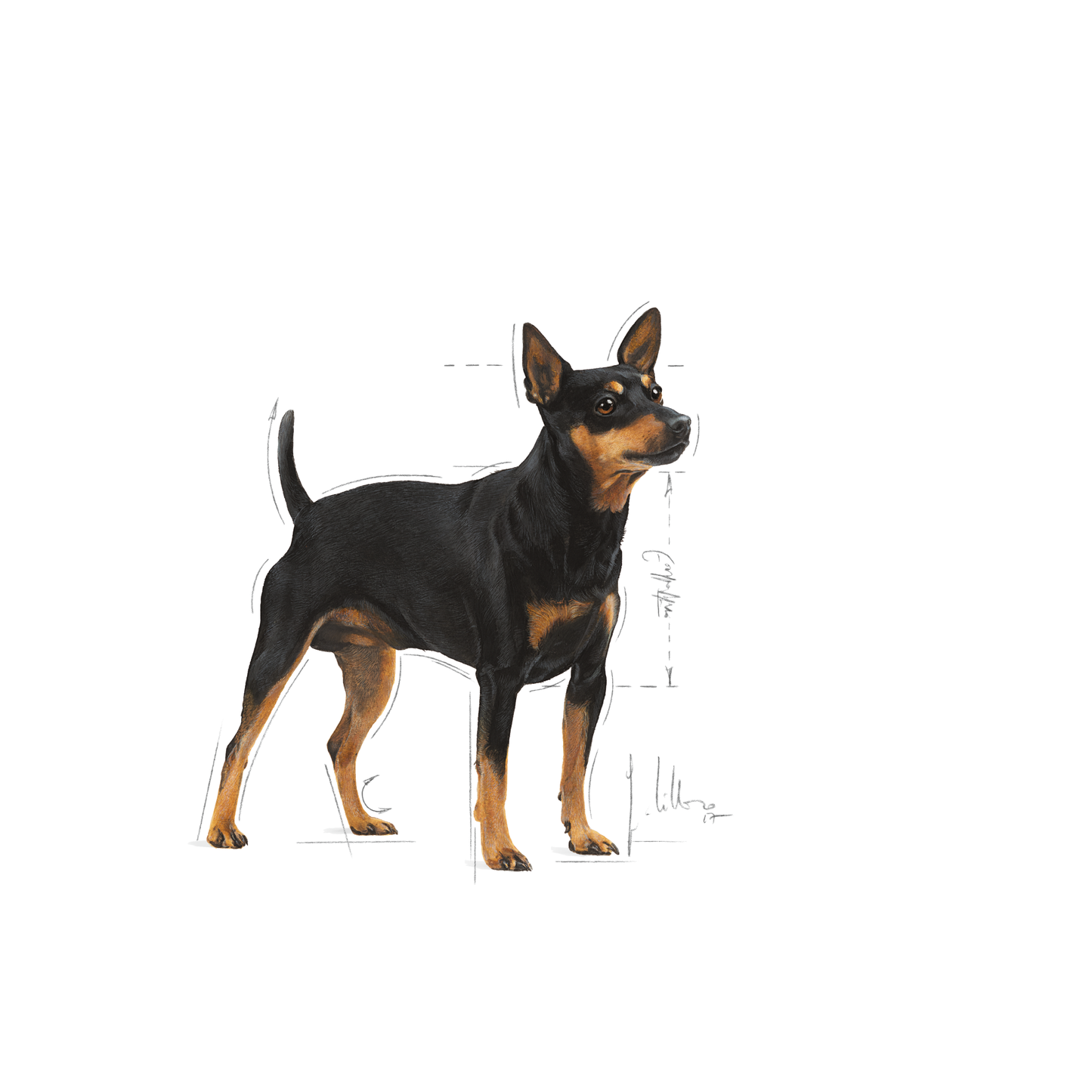 Royal Canin Digestive Care Adult MINI Torrfoder för hund