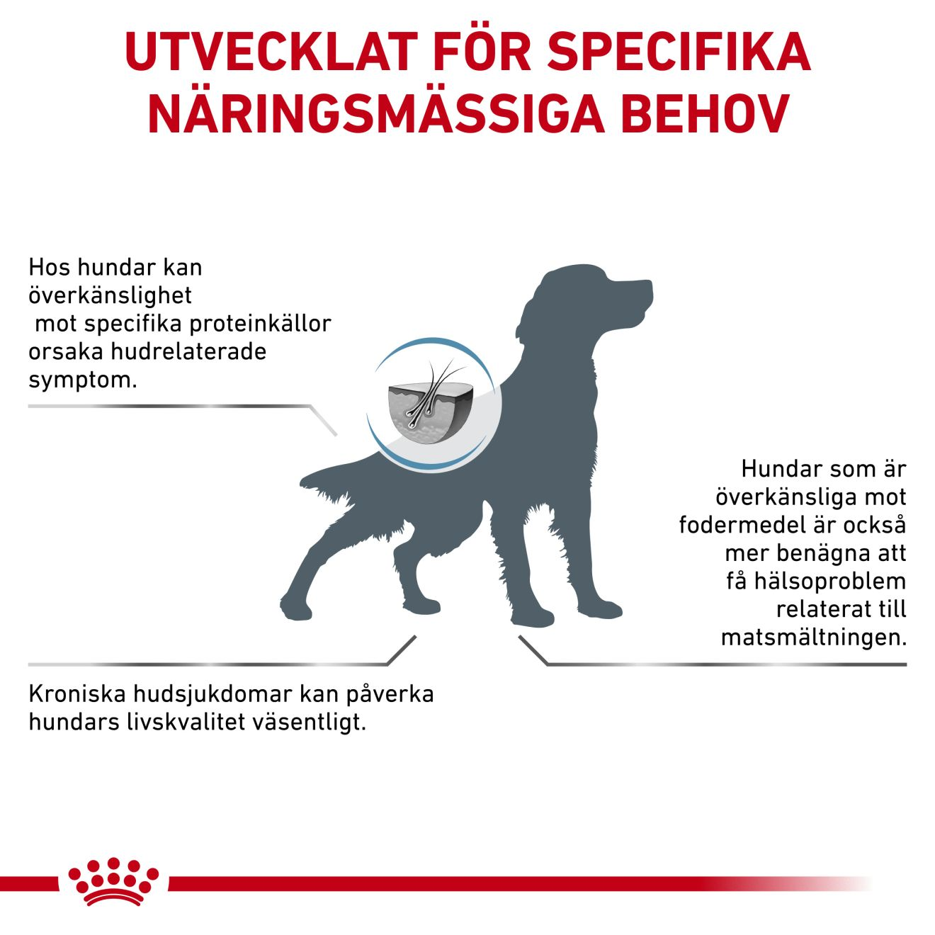 Royal Canin Veterinary Diets Derma Hypoallergenic torrfoder för hund