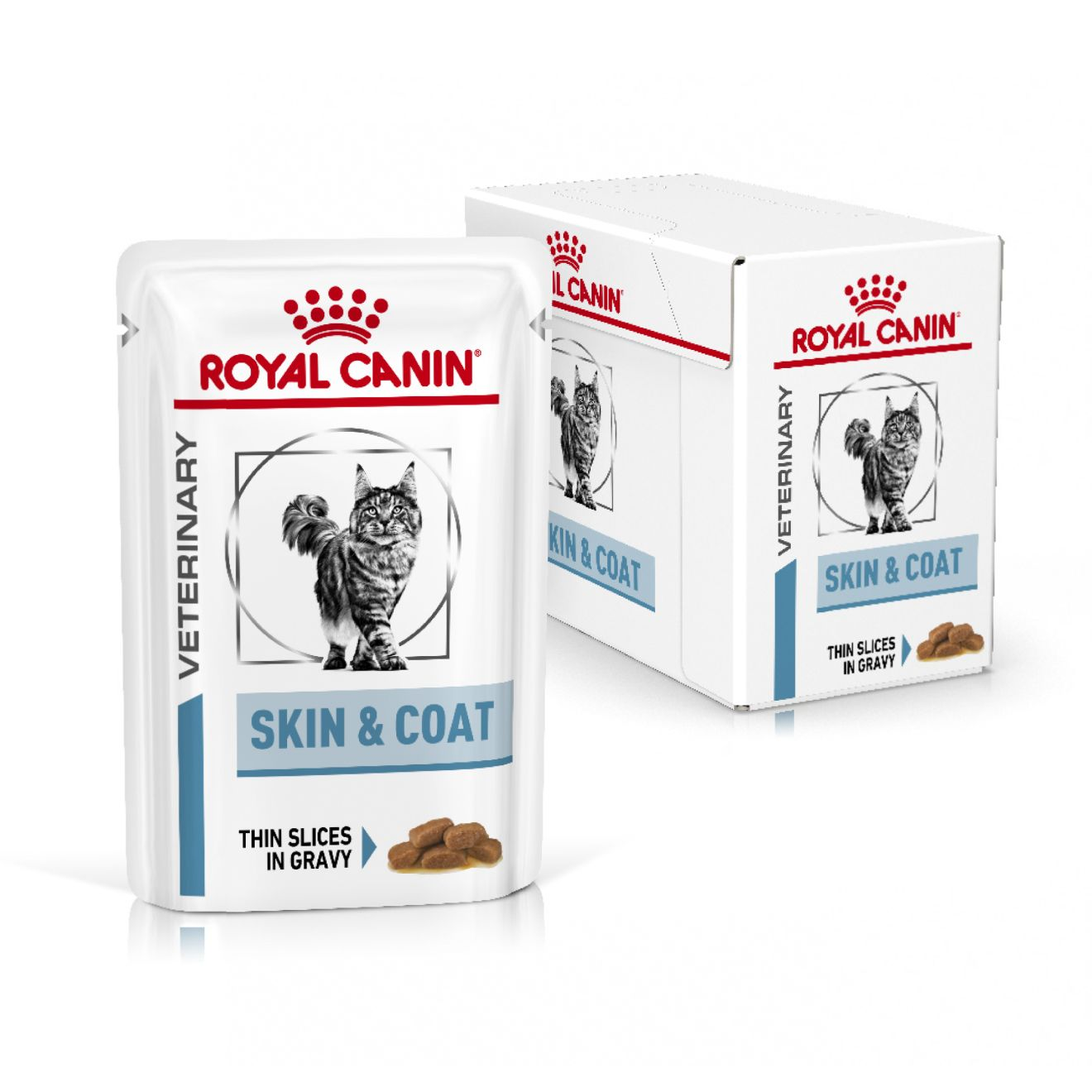 Royal Canin Veterinary Diets Derma Skin & Coat Pouch 12x85g våtfoder för katt
