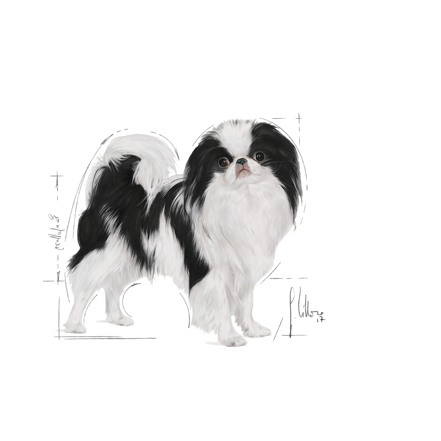 Royal Canin Sterilised X-SMALL Adult Torrfoder för hund