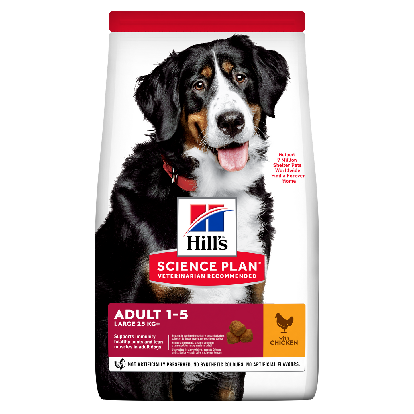 Hills Science Plan Canine Adult Large Chicken