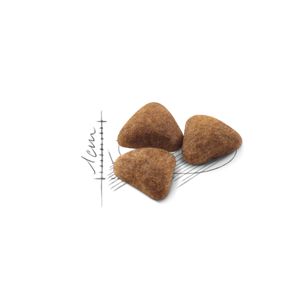 Royal Canin Indoor Adult Torrfoder för katt