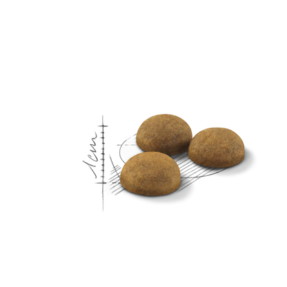 Royal Canin Indoor Long Hair Adult Torrfoder för katt