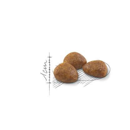 Royal Canin Outdoor 7+ Ageing Torrfoder för katt