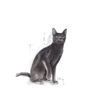 Royal Canin Sterilised Adult Torrfoder för katt