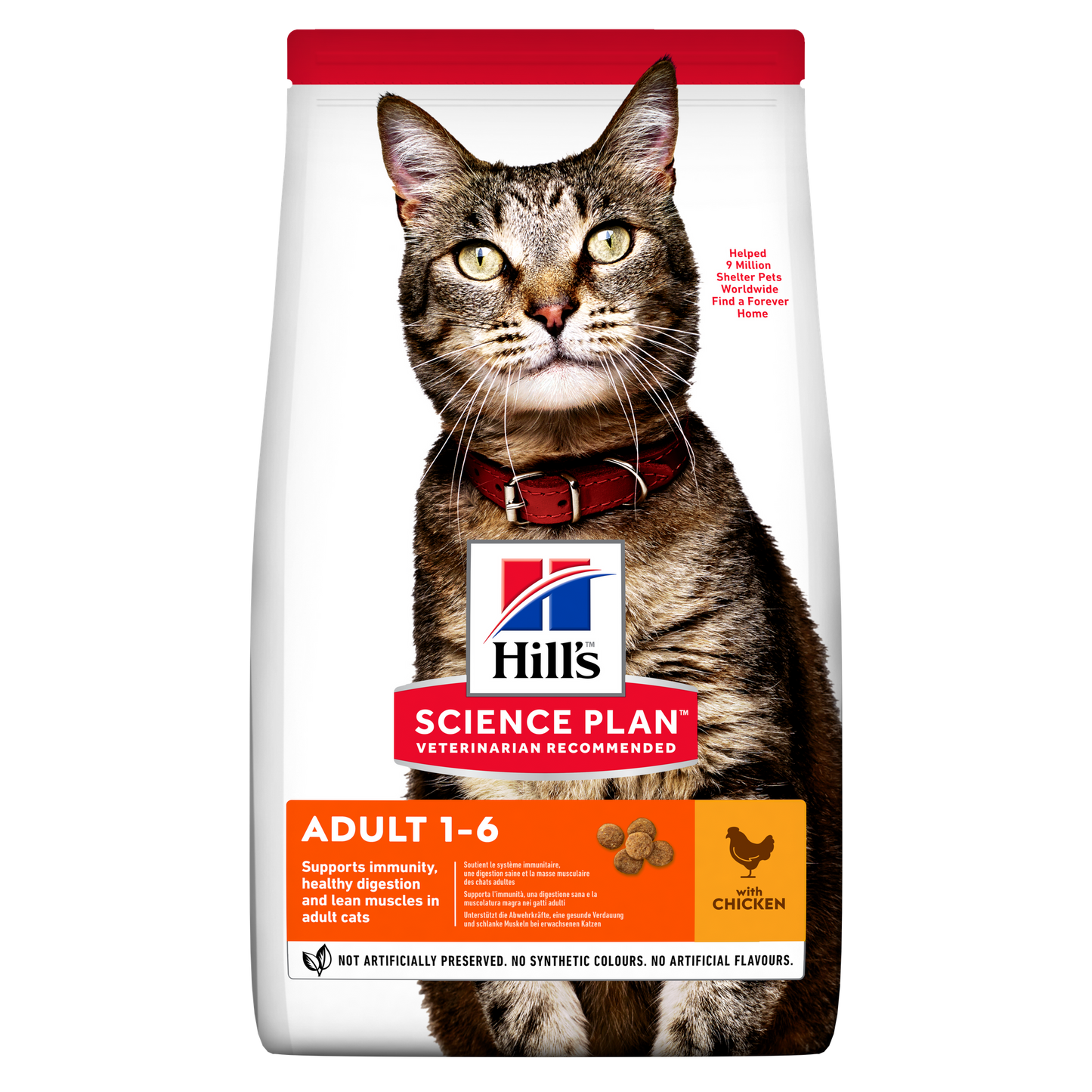 Hills Science Plan Cat Adult Chicken