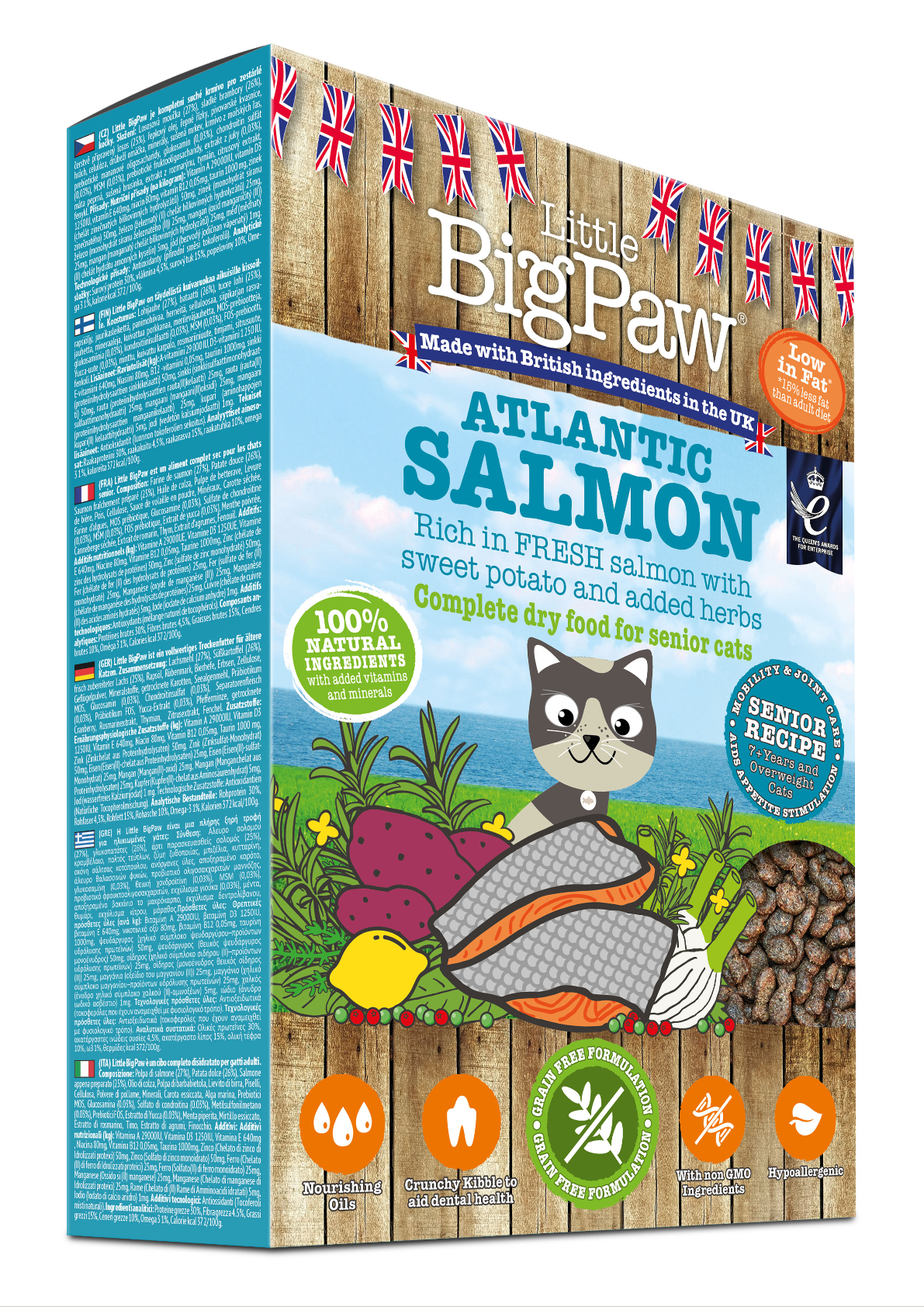 Little BigPaw Atlantic Salmon Senior