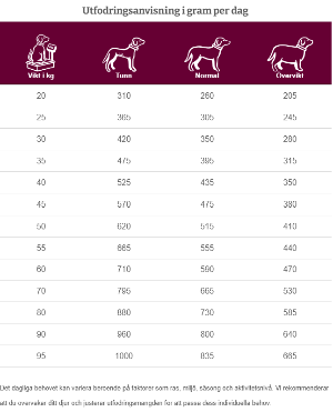 Specific CXD-XL Adult Large & Giant Breed