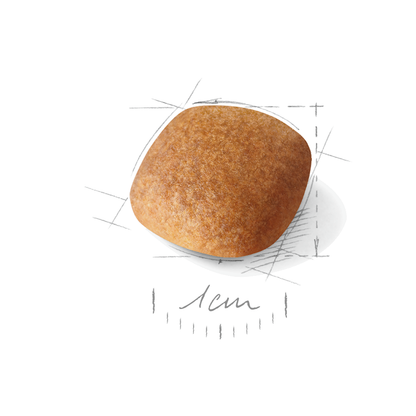 Royal Canin Bichon Frisé Adult Torrfoder för hund