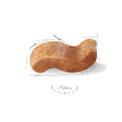 Royal Canin Boxer Adult Torrfoder för hund