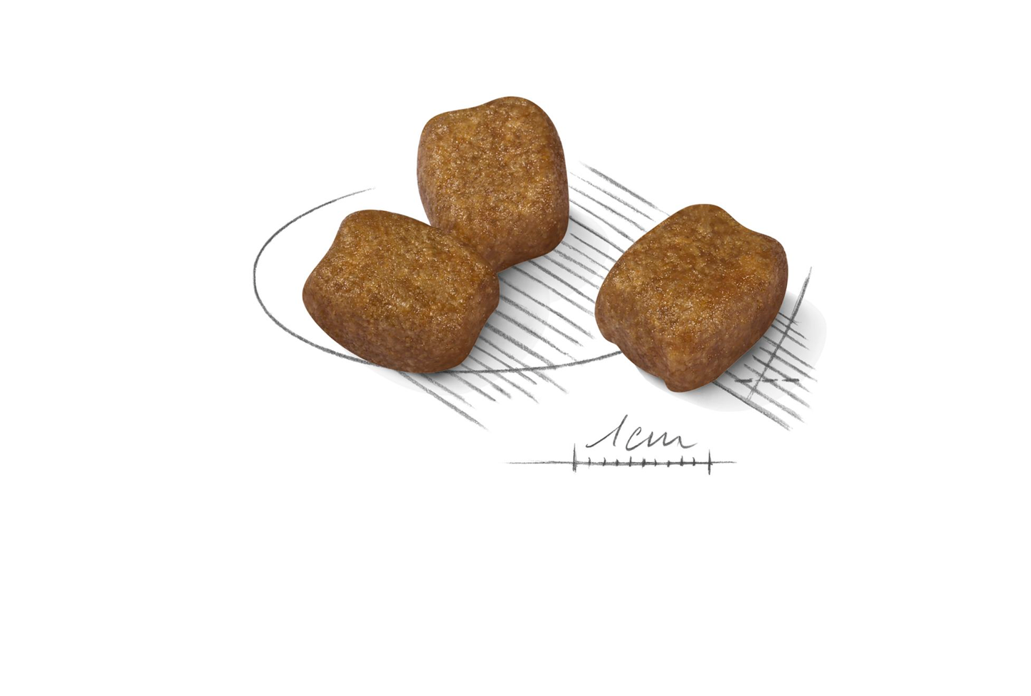 Royal Canin Dental Care Adult MINI Torrfoder för hund
