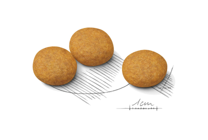 Royal Canin Dermacomfort Adult MEDIUM Torrfoder för hund