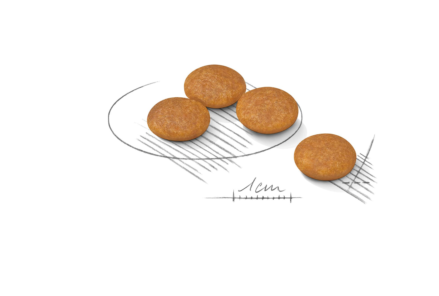 Royal Canin Dermacomfort Adult MINI Torrfoder för hund