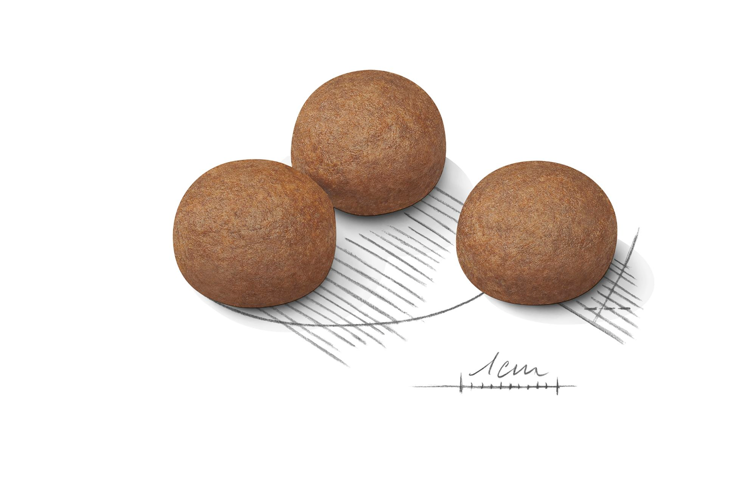 Royal Canin Digestive Care Adult MAXI Torrfoder för hund