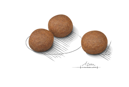 Royal Canin Digestive Care Adult MEDIUM Torrfoder för hund