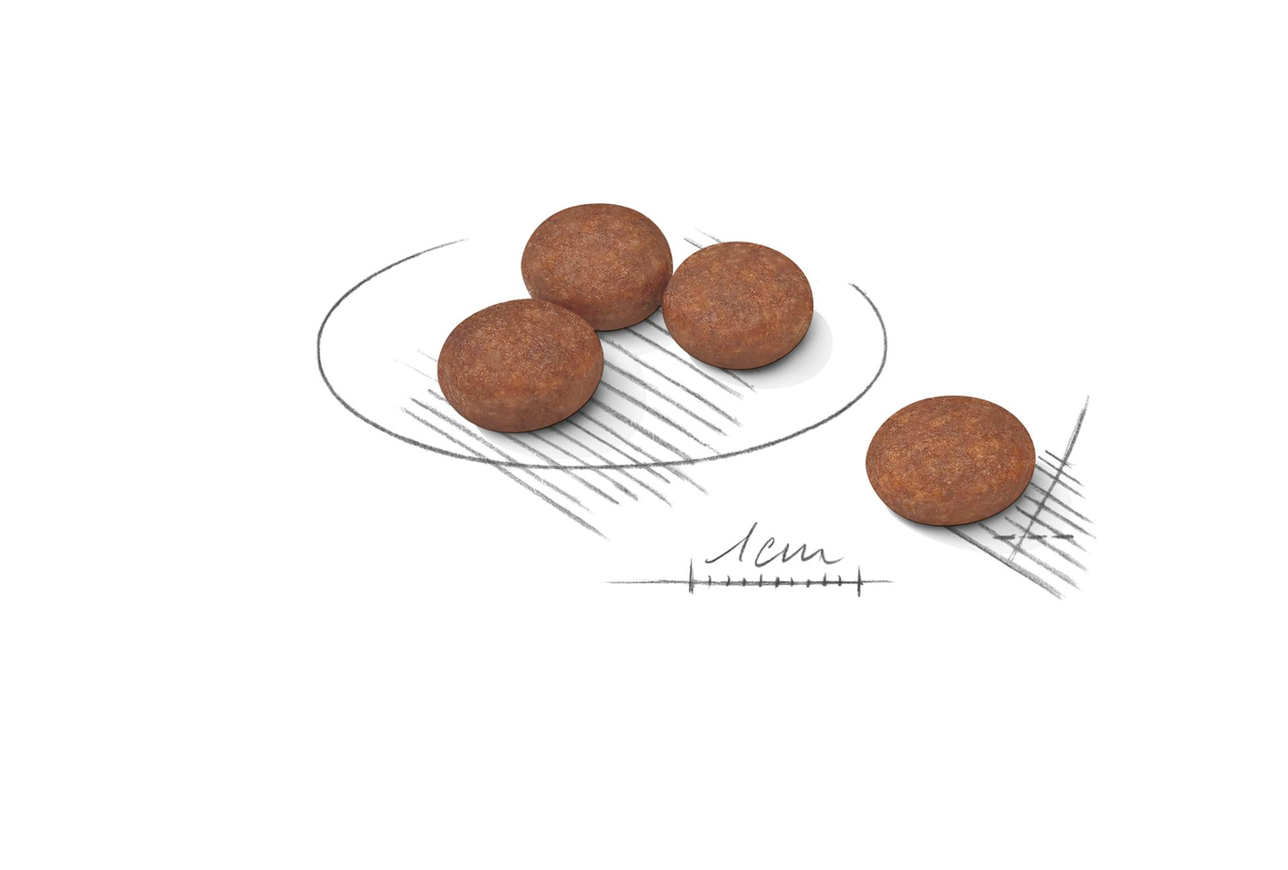 Royal Canin Digestive Care Adult MINI Torrfoder för hund