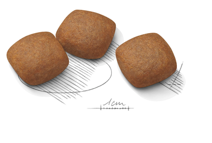 Royal Canin Joint Care Adult MAXI Torrfoder för hund