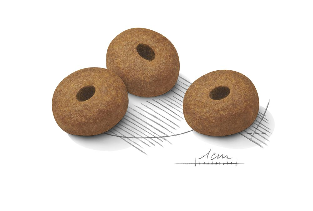 Royal Canin Light weight Care Adult MAXI Torrfoder för hund