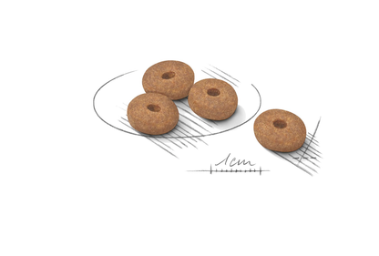 Royal Canin Light weight Care Adult MINI Torrfoder för hund