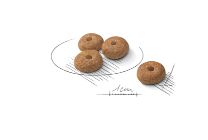 Royal Canin Sterilised Adult MINI Torrfoder för hund