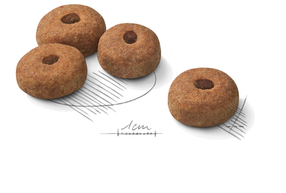 Royal Canin Sterilised Adult MAXI Torrfoder för hund