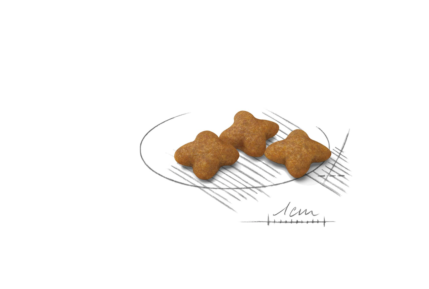 Royal Canin Sterilised X-SMALL Adult Torrfoder för hund