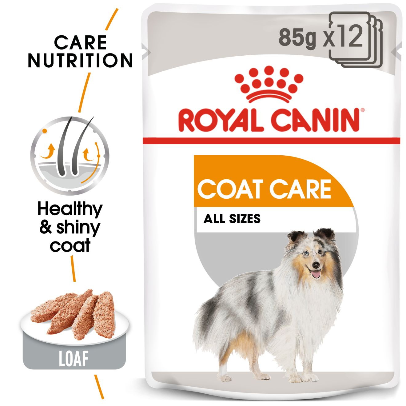 Royal Canin Coat Care Adult Våtfoder för hund