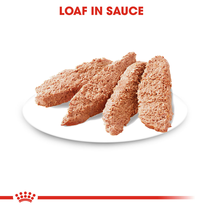 Royal Canin Dermacomfort Adult Våtfoder för hund