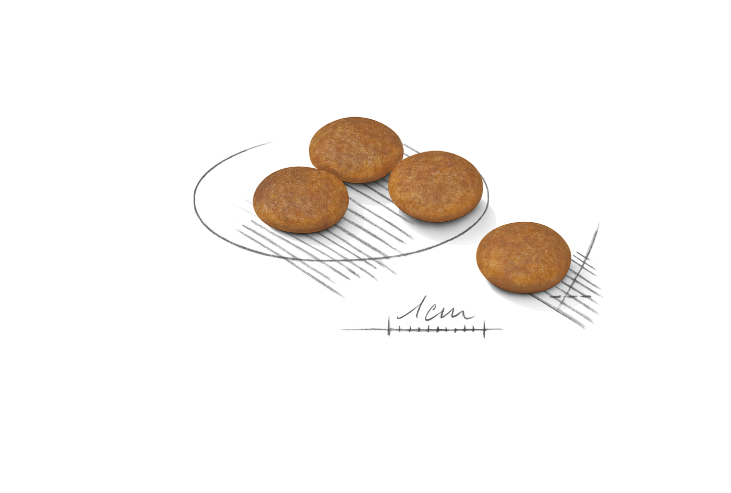 Royal Canin Light Weight Care Adult X-SMALL Torrfoder för hund