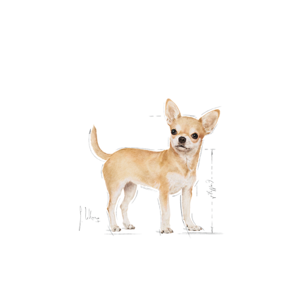 Royal Canin Chihuahua Adult Torrfoder för hund