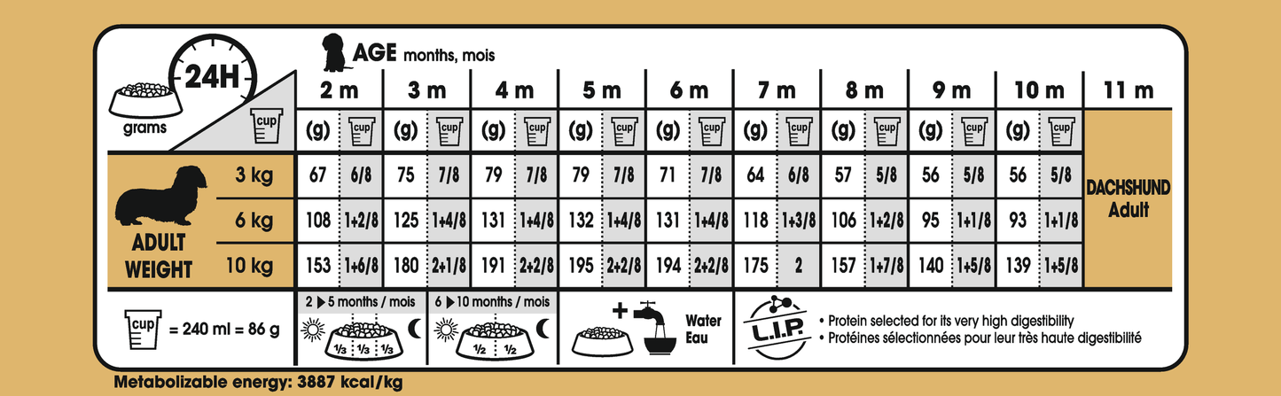 Royal Canin Dachshund Puppy Torrfoder för hundvalp