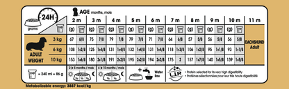 Royal Canin Dachshund Puppy Torrfoder för hundvalp