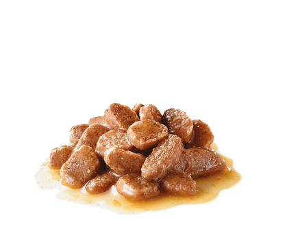 Royal Canin Digestive Care Gravy Adult Våtfoder för katt