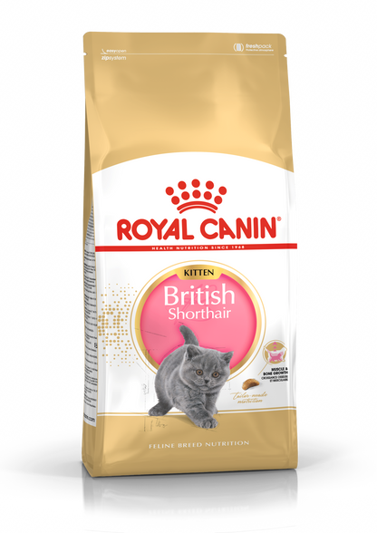 Royal Canin British Shorthair Kitten Torrfoder för kattunge