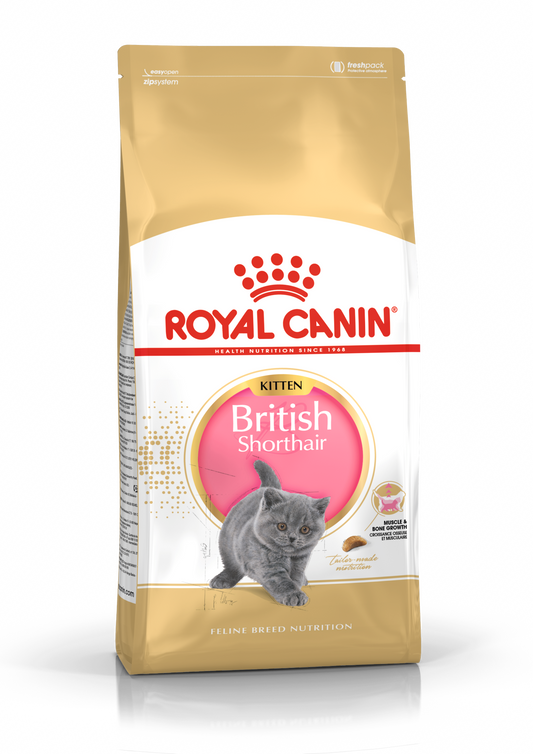 Royal Canin British Shorthair Kitten Torrfoder för kattunge