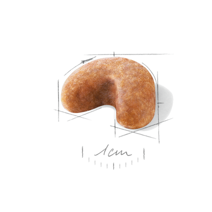 Royal Canin French Bulldog Puppy Torrfoder för hundvalp