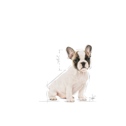 Royal Canin French Bulldog Puppy Torrfoder för hundvalp