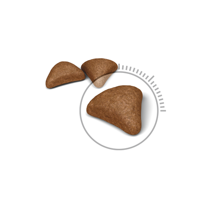 Royal Canin Hairball Care Adult Torrfoder för katt