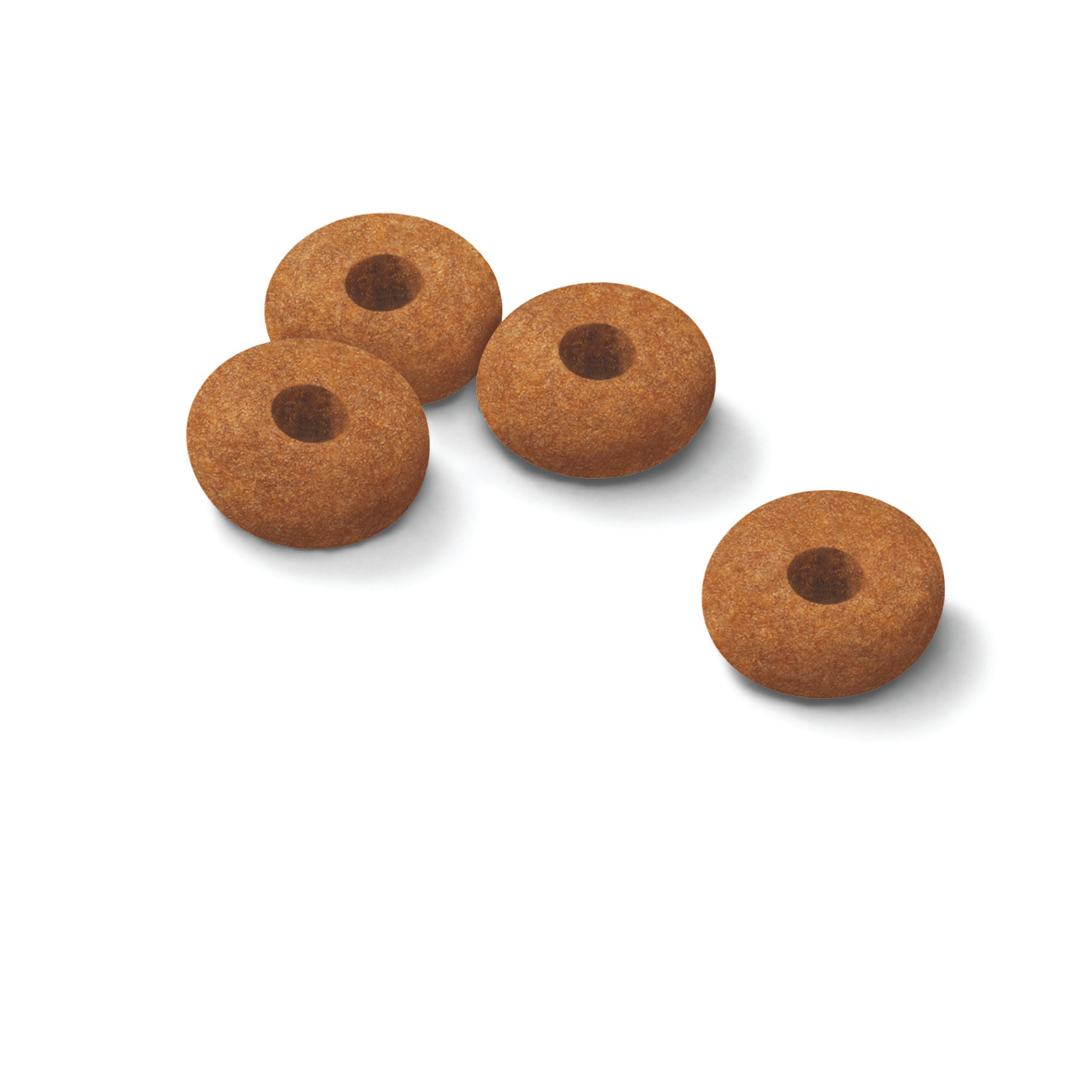 Royal Canin Appetite Control Care Adult Torrfoder för katt