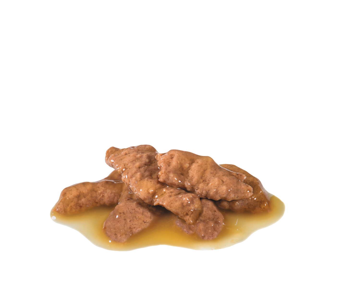 Royal Canin Indoor Gravy Adult Våtfoder för katt