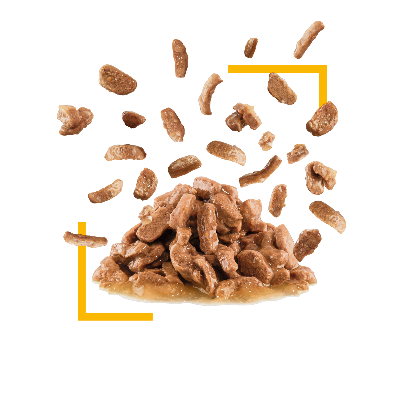 Royal Canin Sensory Taste Gravy Adult Våtfoder för katt