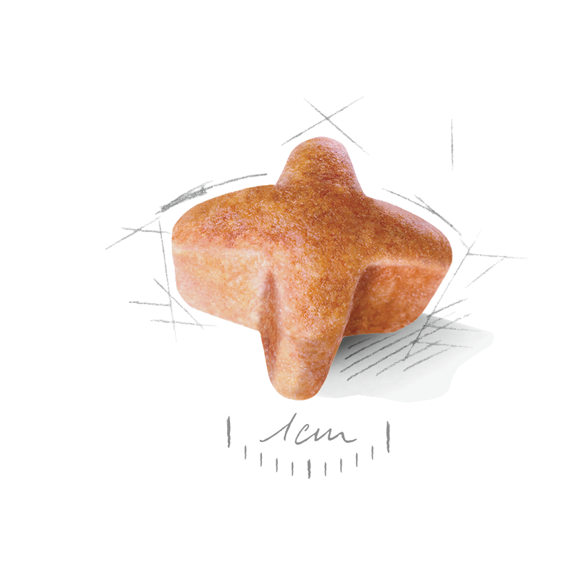 Royal Canin German Shepherd 5+ Torrfoder för hund