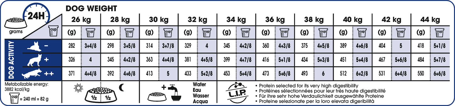 Royal Canin MAXI Ageing 8+ Ageing Torrfoder för hund