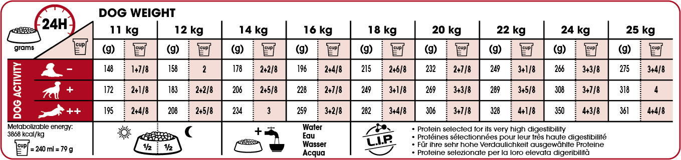 Royal Canin MEDIUM Ageing 10+ Ageing Torrfoder för hund