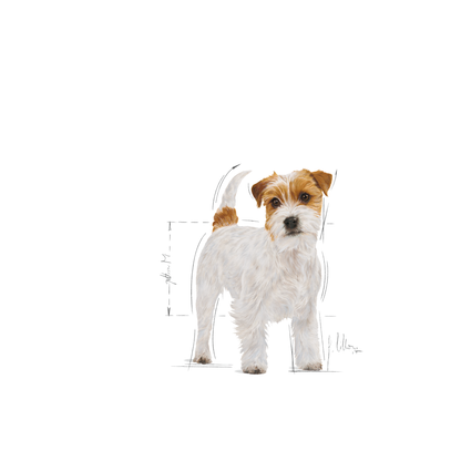 Royal Canin Jack Russel Adult Torrfoder för hund