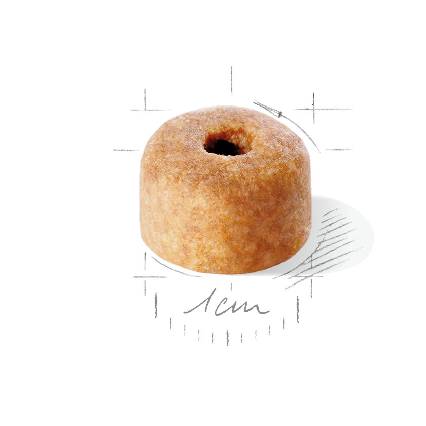 Royal Canin Labrador Retriever Puppy Torrfoder för hundvalp