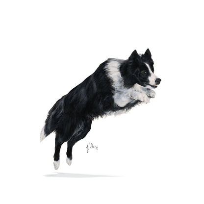 Royal  Canin Sporting Life Energy 4100 Adult Torrfoder för hund