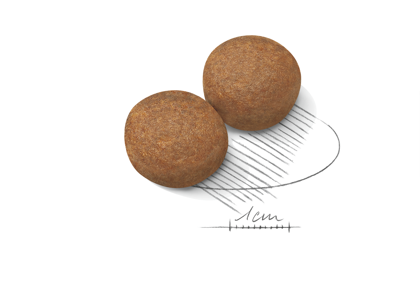 Royal  Canin MAXI Adult Torrfoder för hund