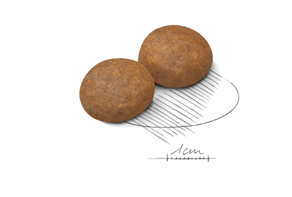 Royal   Canin MAXI Adult 5+ Torrfoder för hund